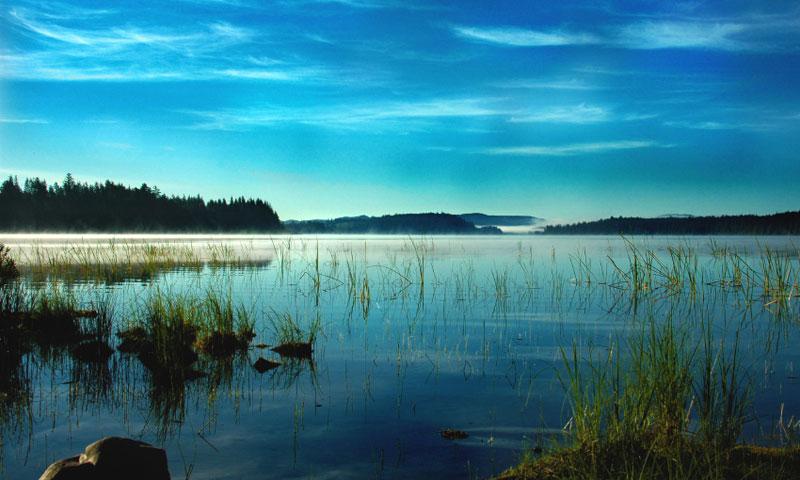 Lake Ozette