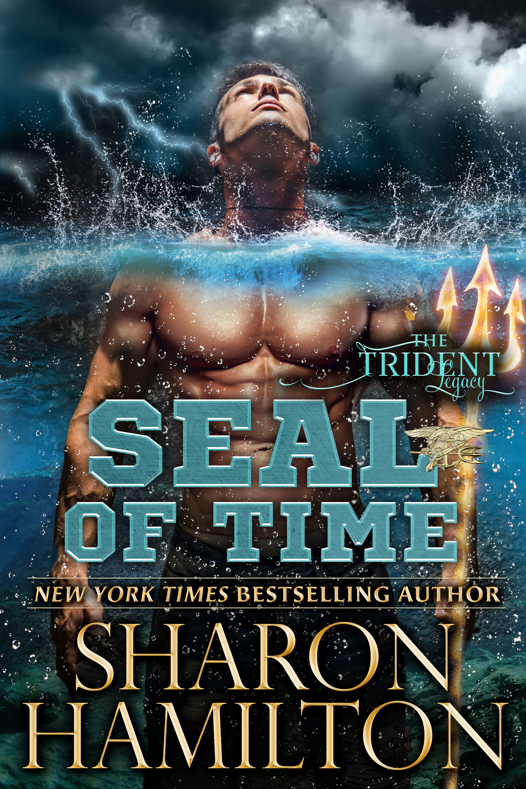 SEAL of Time a Book by Author Sharon Hamilton