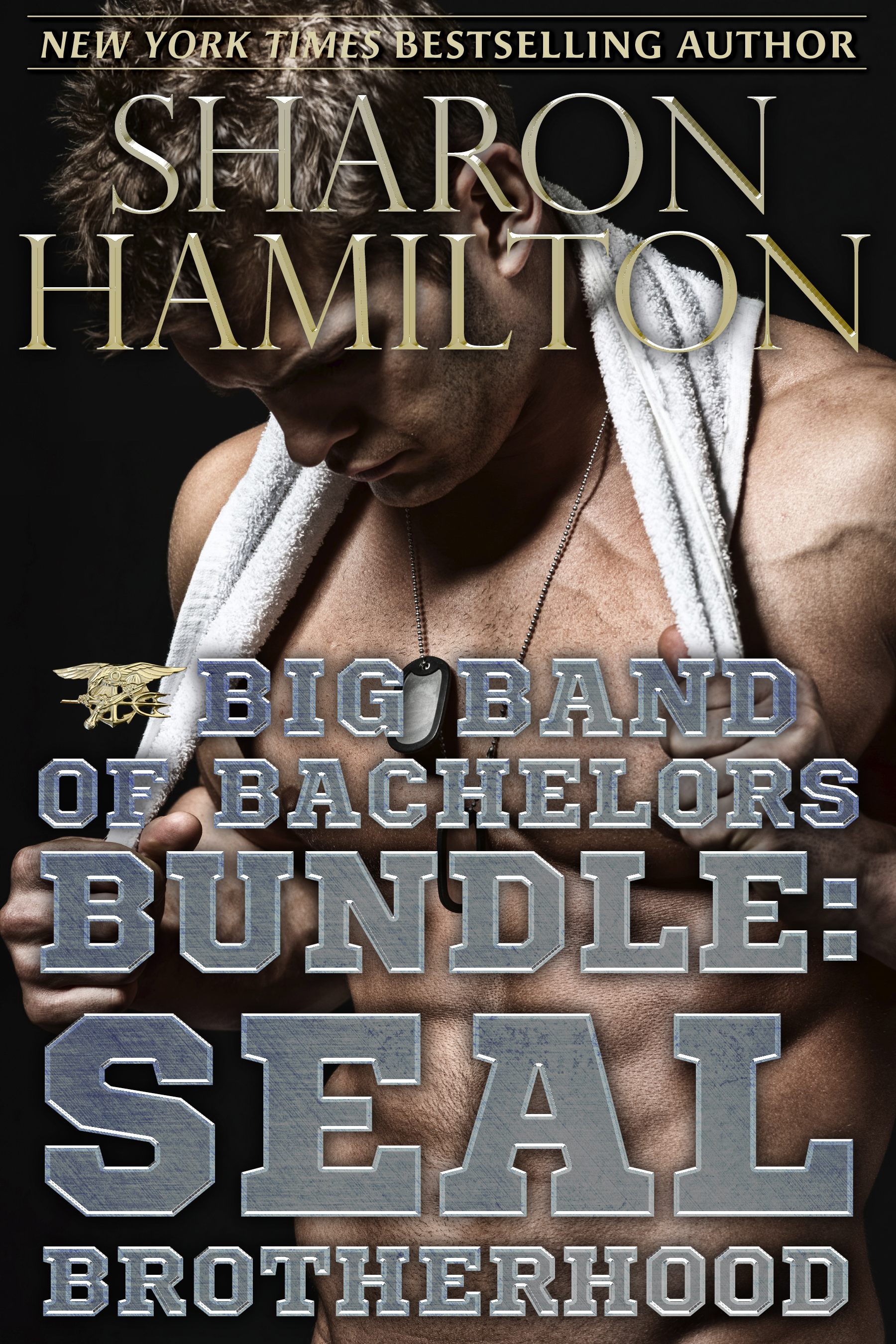 Big Band of Bachelors Bundle a Book Collection by Author Sharon Hamilton