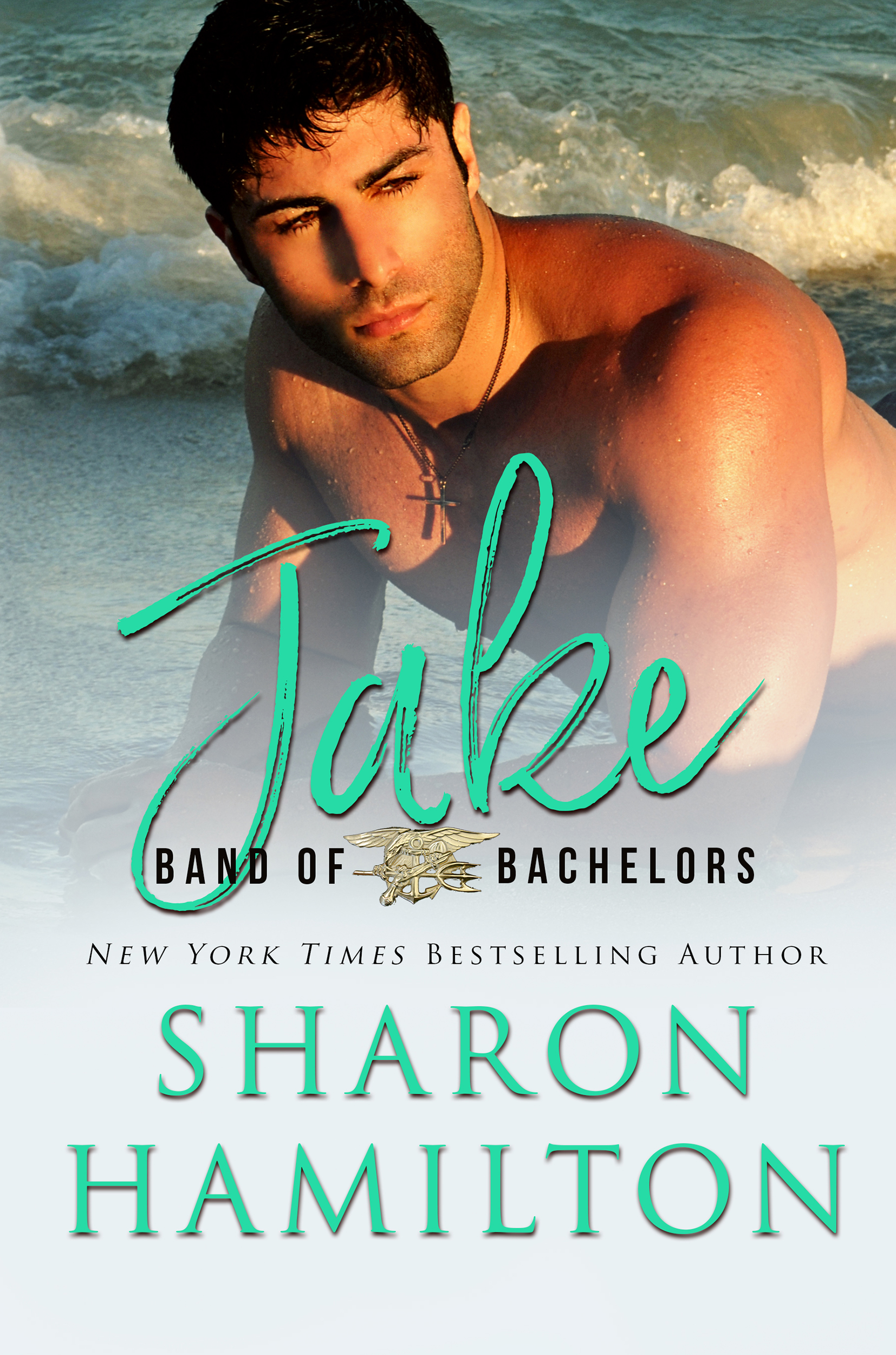 Jake a Book by Author Sharon Hamilton
