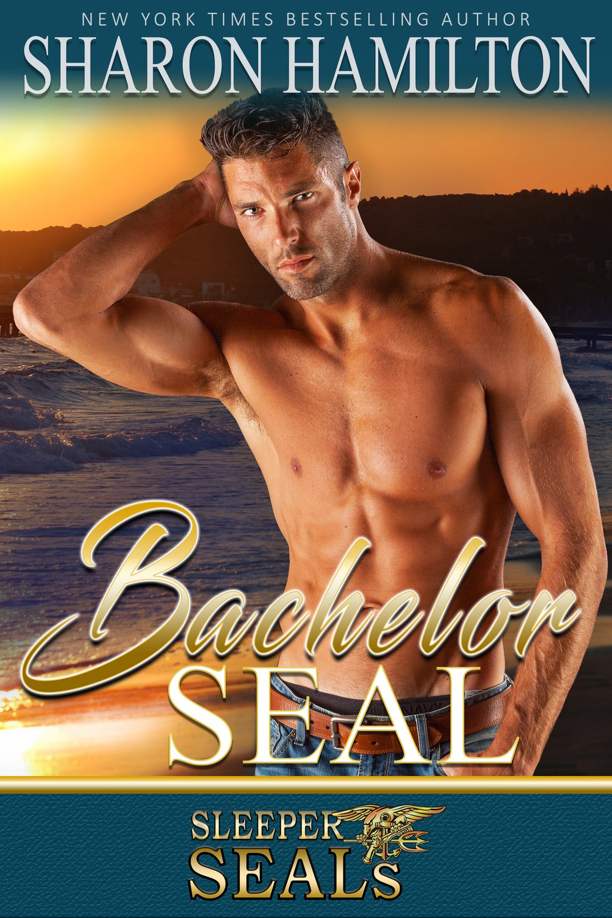 Bachelor SEAL a Book by Author Sharon Hamilton