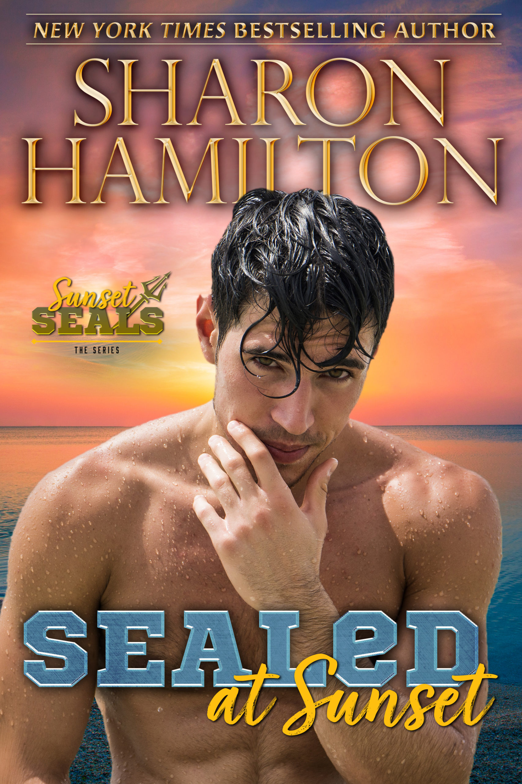 SEALed at Sunset a Book by Author Sharon Hamilton