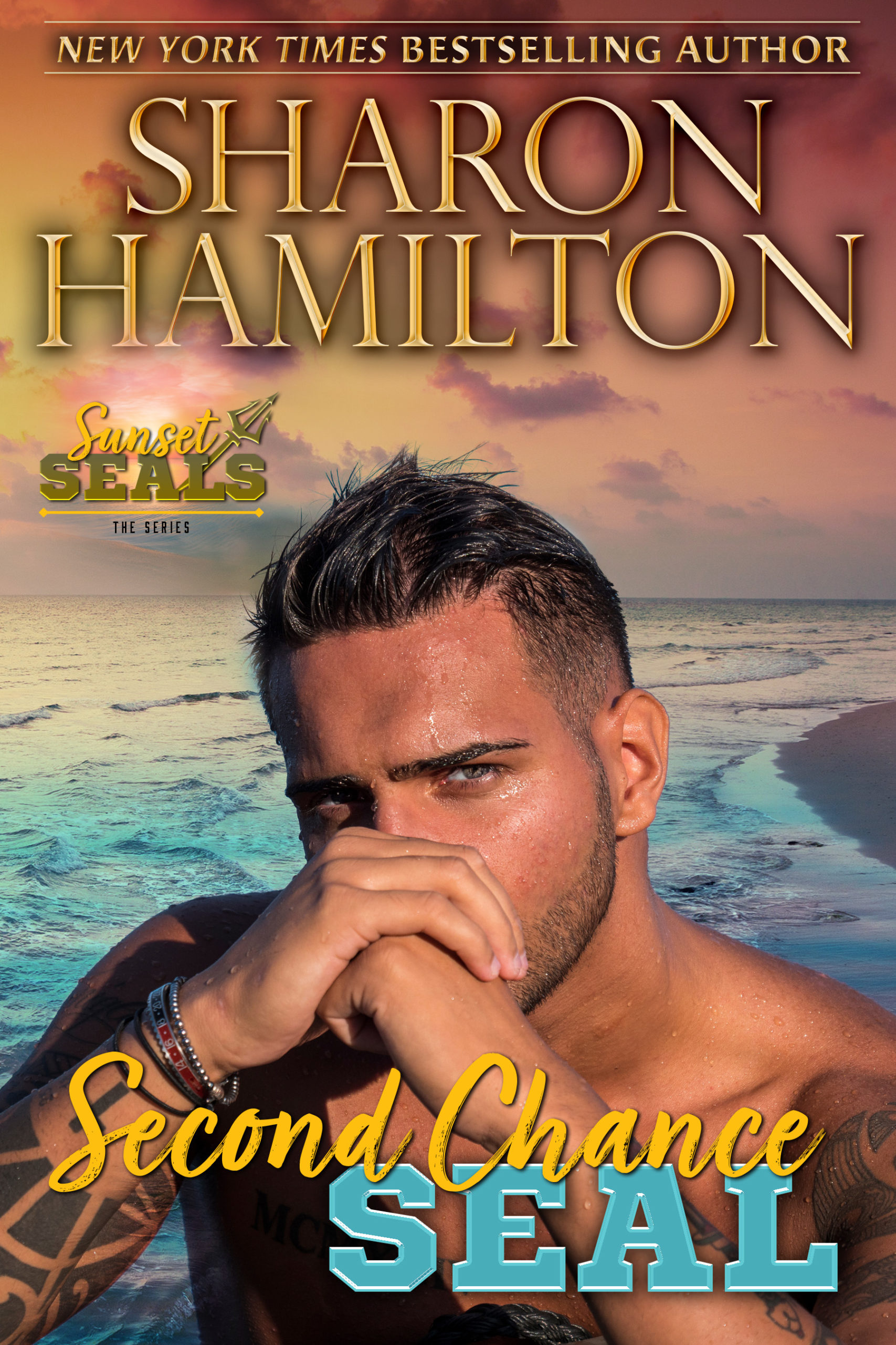 Second Chance SEAL a Book by Author Sharon Hamilton