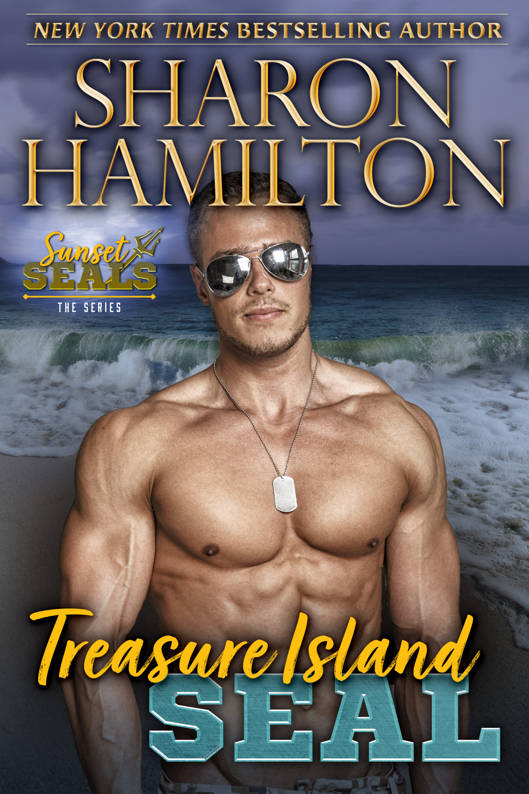 Treasure Island SEAL a Book by Author Sharon Hamilton