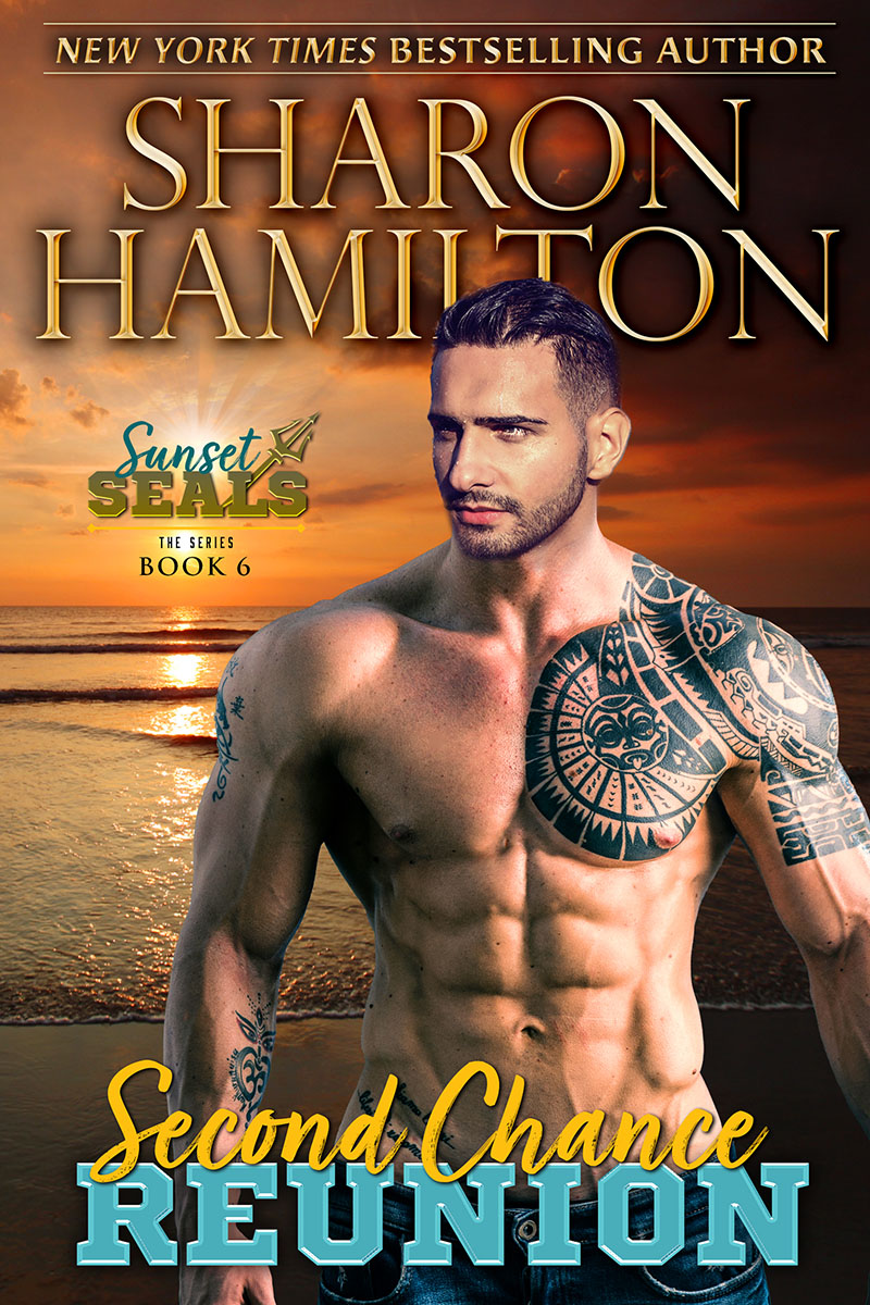 Second Chance Reunion t a Sunset SEAL Book by Author Sharon Hamilton