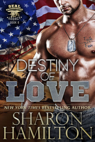 destiny of love book cover